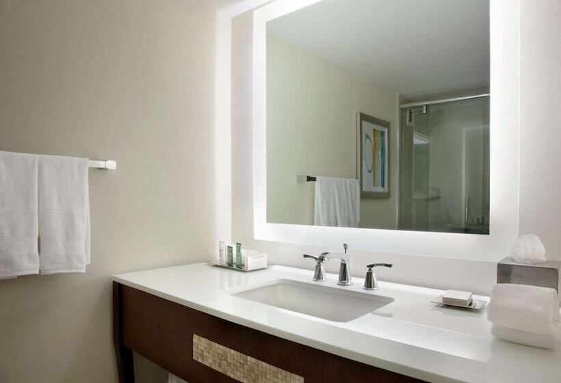Люкс с Балконом, Hilton Miami Airport Blue Lagoon