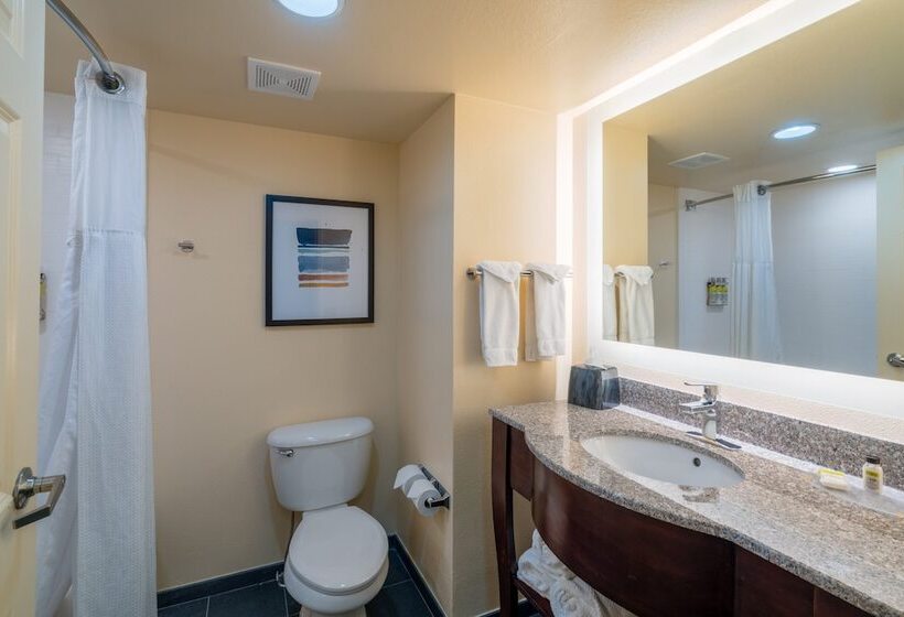 חדר סטודיו סטנדרד, Staybridge Suites Memphis Poplar Ave East, An Ihg