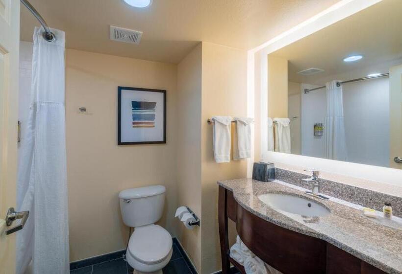 חדר סטודיו סטנדרד, Staybridge Suites Memphis Poplar Ave East, An Ihg