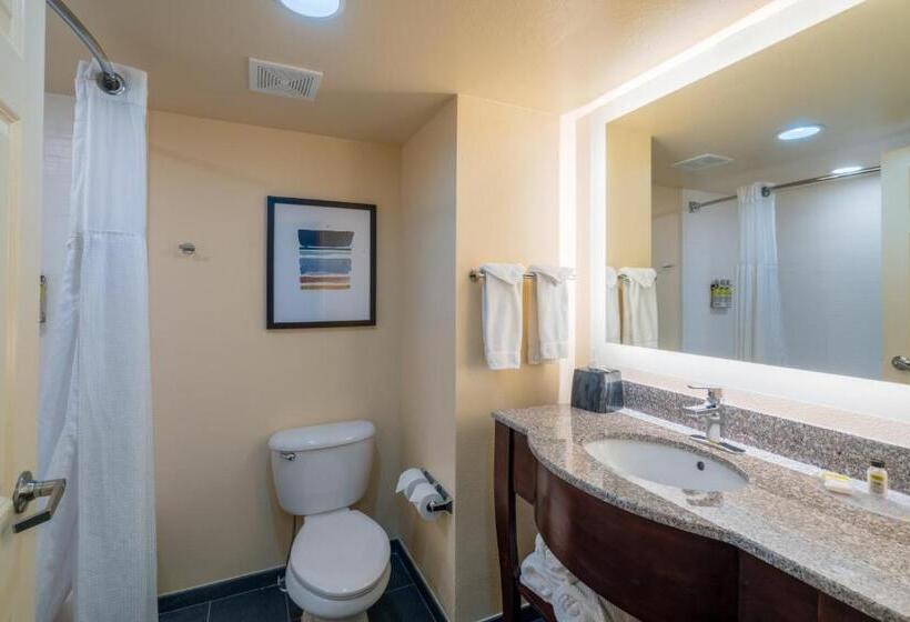 סוויטה, Staybridge Suites Memphis Poplar Ave East, An Ihg
