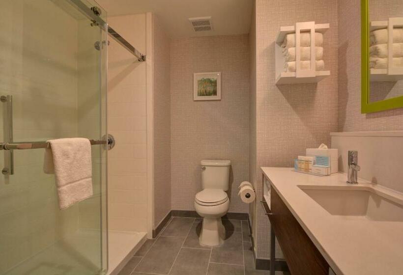 스탠다드 스튜디오 킹침대, Hampton Inn & Suites Middleburg