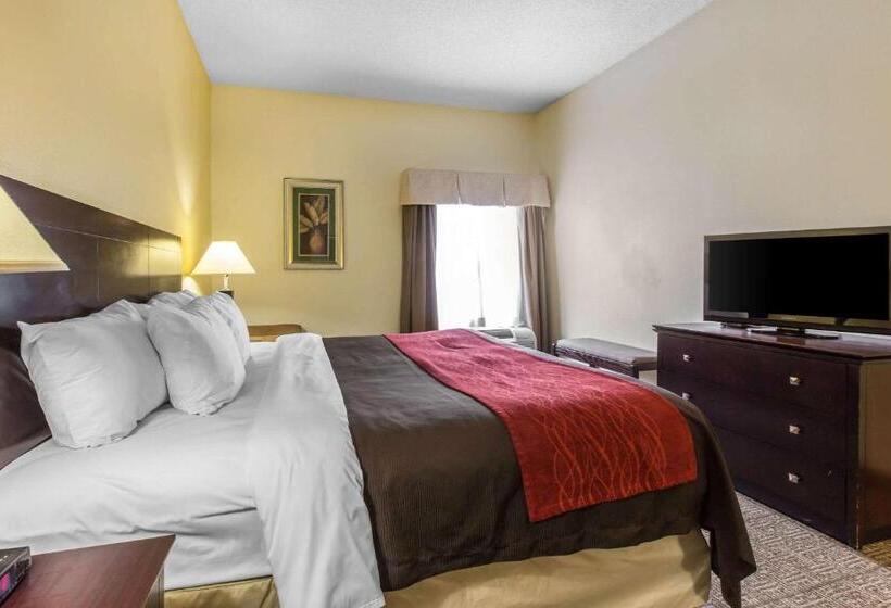 Номер Стандарт Кровать Кинг Адаптированный для Инвалидов, Comfort Inn & Suites