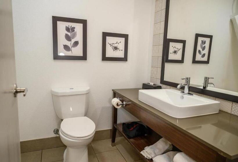 キングサイズベッドのスタンダードルーム, Country Inn & Suites By Radisson, Greenfield, In