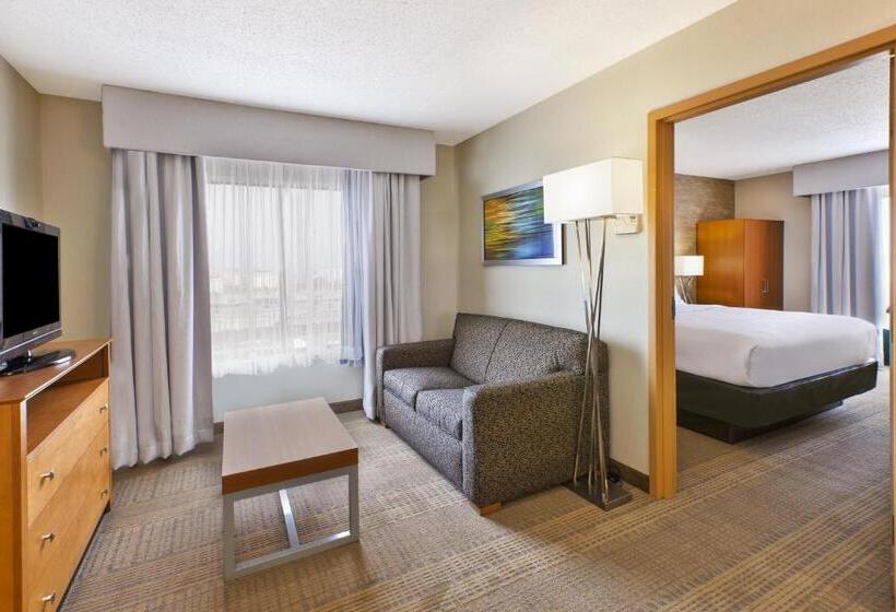 キングサイズベッドのスイートルーム, Holiday Inn & Suites Bolingbrook, An Ihg