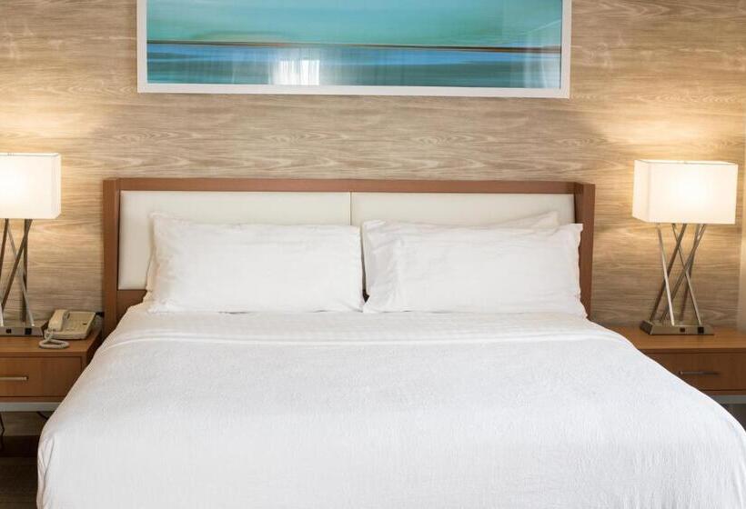 身障者適用スイートルーム, Holiday Inn & Suites Bolingbrook, An Ihg