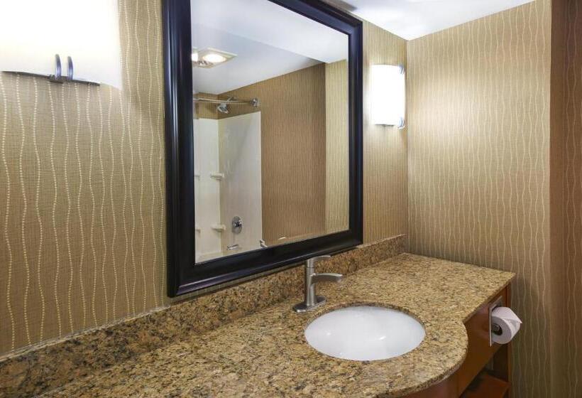 プレジデントスイートルーム, Holiday Inn & Suites Bolingbrook, An Ihg