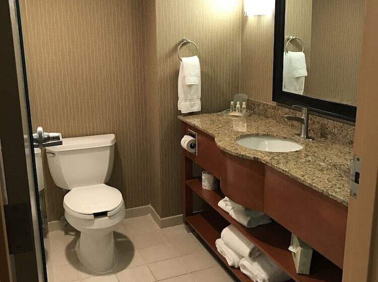 スタンダードルーム, Holiday Inn & Suites Bolingbrook, An Ihg