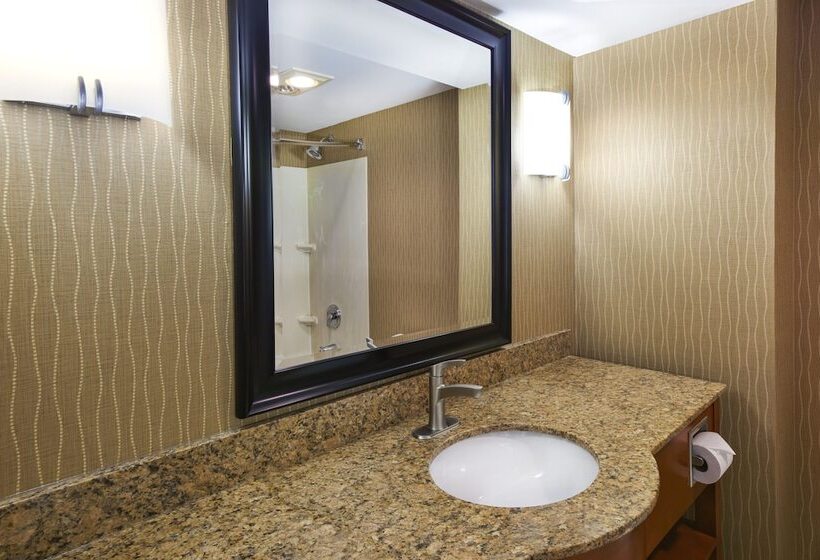 身障者適用スイートルーム, Holiday Inn & Suites Bolingbrook, An Ihg