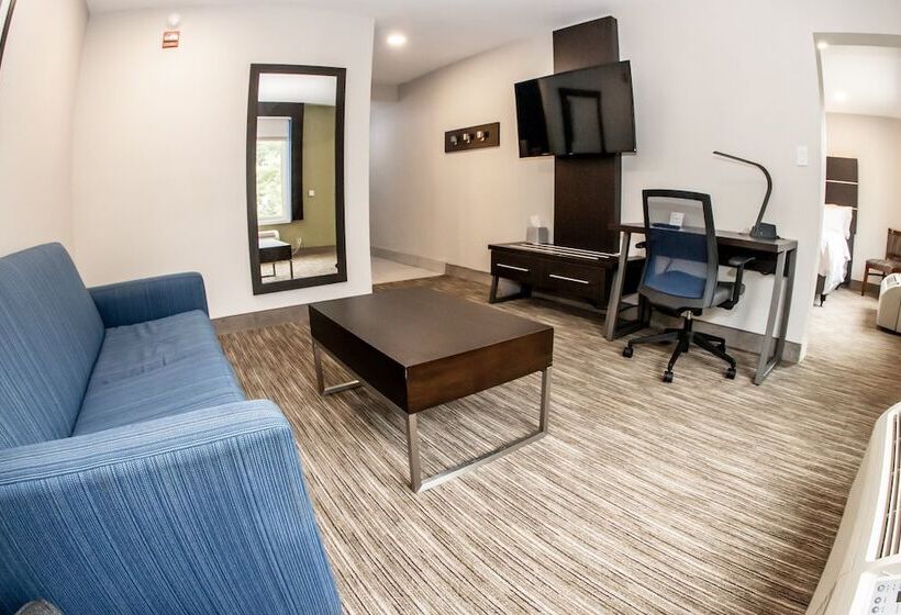 سوییت, Holiday Inn Express   Allentown North, An Ihg