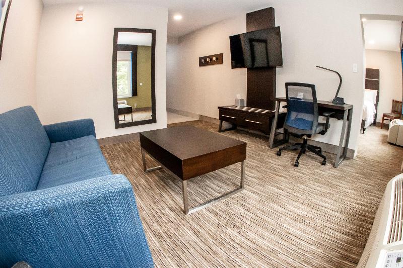 سوییت, Holiday Inn Express   Allentown North, An Ihg