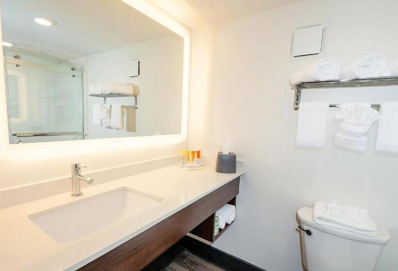 キングサイズベッドのスタンダードルーム, Holiday Inn Resort Panama City Beach, An Ihg