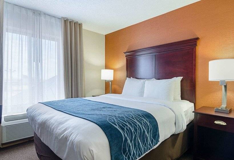 이그제큐티브 스위트, Comfort Inn & Suites