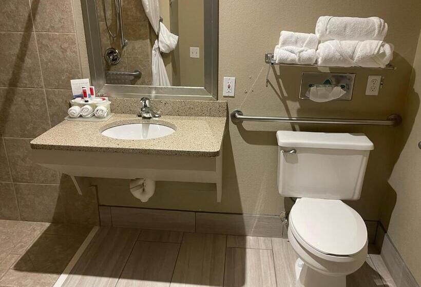 Люкс Адаптированный для Инвалидов, Stay Suites Formerly Known As Days Inn & Suites By Wyndham La Crosse Onalaska