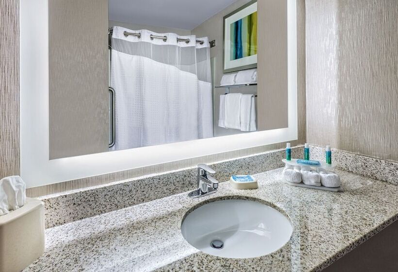 스탠다드 룸, Holiday Inn Express Hotel And Suites Fort Worth/i 20