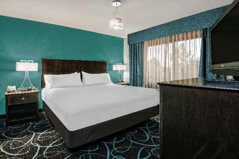 장애인을 위한 킹사이즈 침대 스탠다드 룸, Holiday Inn Express Hotel And Suites Fort Worth/i 20
