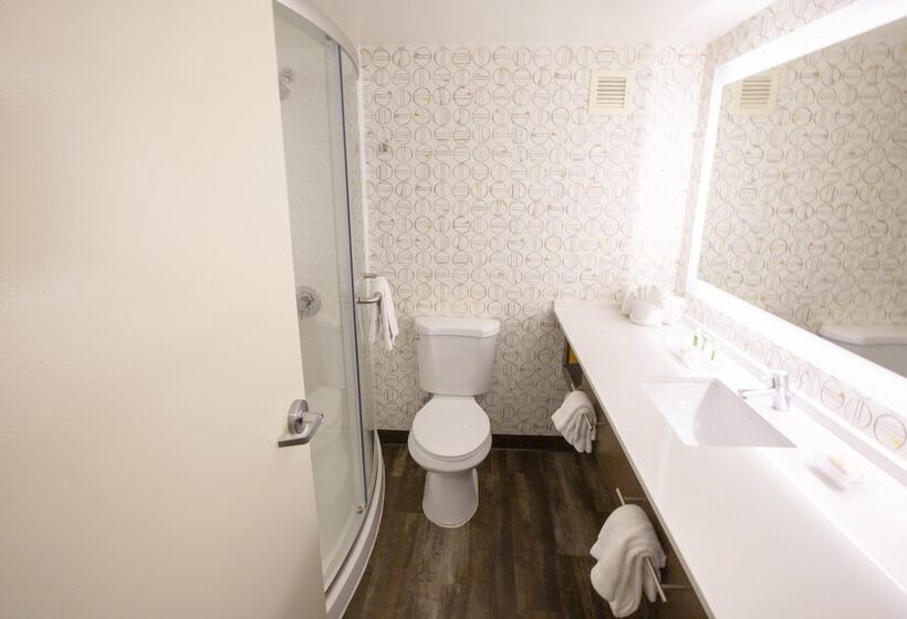 اتاق استاندارد با 2 تخت دوبل, Holiday Inn Orlando International Airport, An Ihg