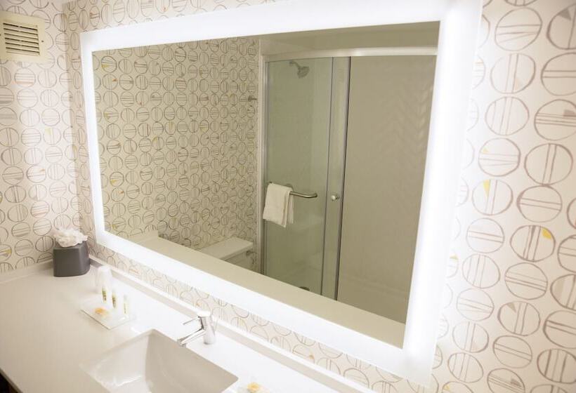 اتاق استاندارد با 2 تخت دوبل, Holiday Inn Orlando International Airport, An Ihg