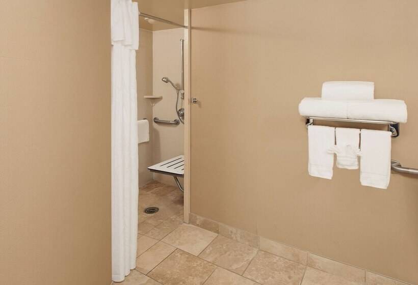 Suite Adapted for people with reduced mobility, Homewood Suites By Hilton Indianapoliskeystone Crossing