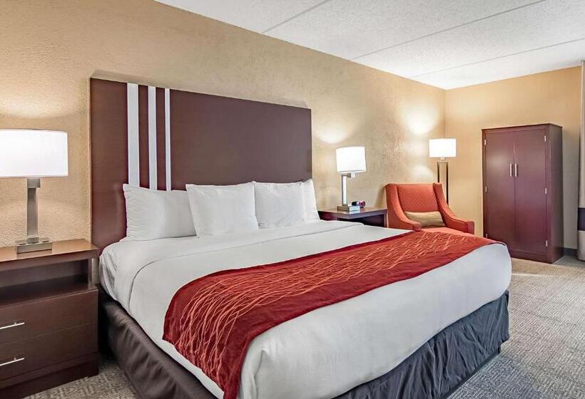 חדר סטנדרט עם מיטת קינג, Fairfield By Marriott Inn & Suites Madison South
