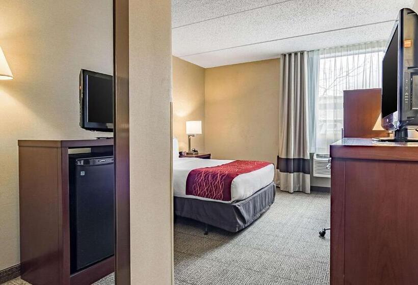 חדר סטנדרט, Fairfield By Marriott Inn & Suites Madison South
