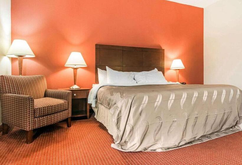 장애인을 위한 킹사이즈 침대 스탠다드 룸, Quality Inn & Suites