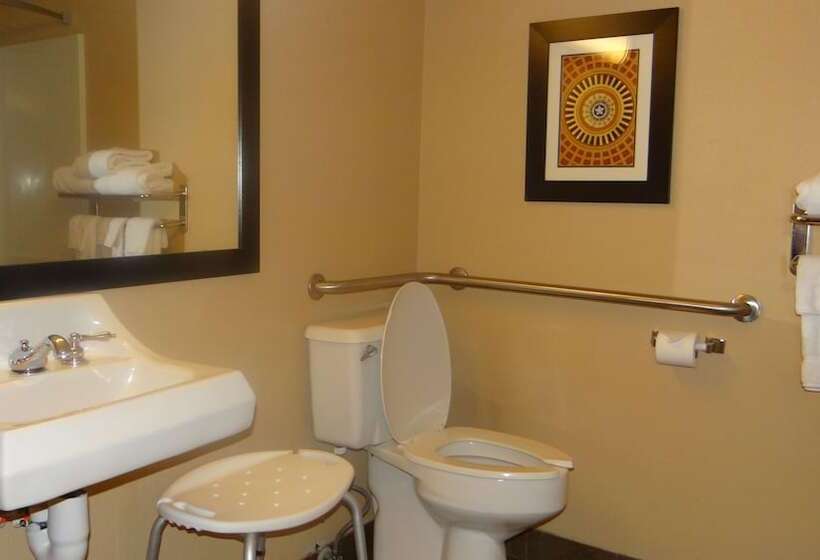 Люкс Адаптированный для Инвалидов, Wyndham Garden Oklahoma City Hotel & Conference Ctr Near Airport, Fairgrounds Paycom & I40