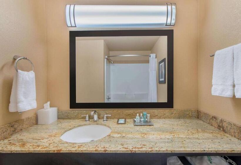 Люкс Адаптированный для Инвалидов, Wyndham Garden Oklahoma City Hotel & Conference Ctr Near Airport, Fairgrounds Paycom & I40