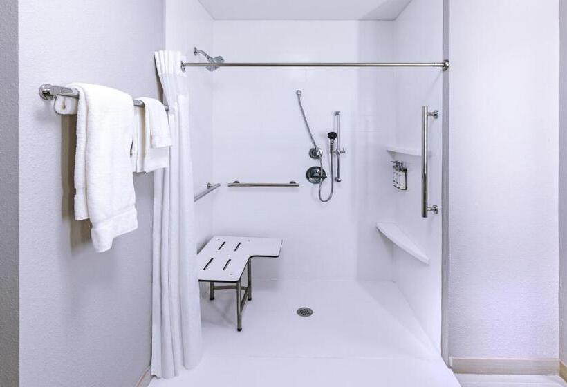 身障者適用キングサイズベッドルーム, Holiday Inn Express & Suites   Houston   N Downtown, An Ihg