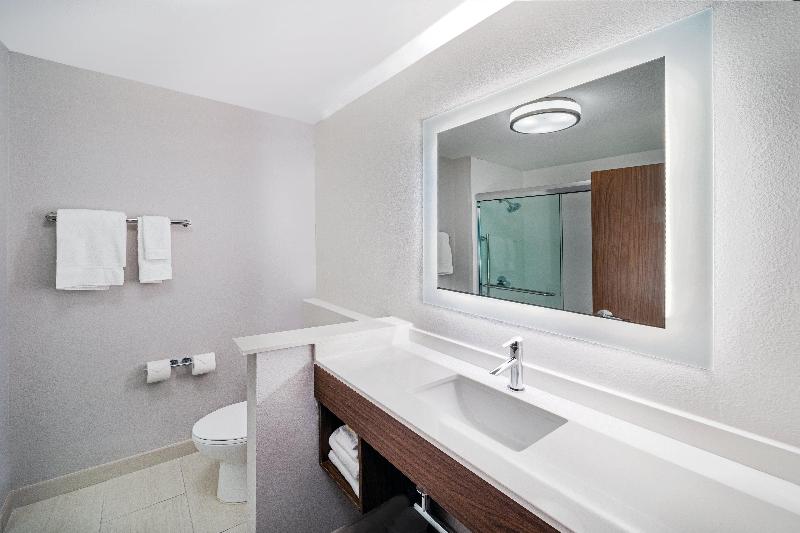 キングサイズベッドのスタンダードルーム, Holiday Inn Express & Suites   Houston   N Downtown, An Ihg