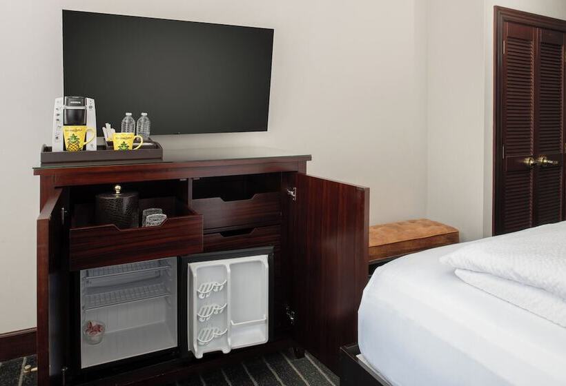 اتاق لوکس, Staypineapple, An Iconic Hotel, The Loop