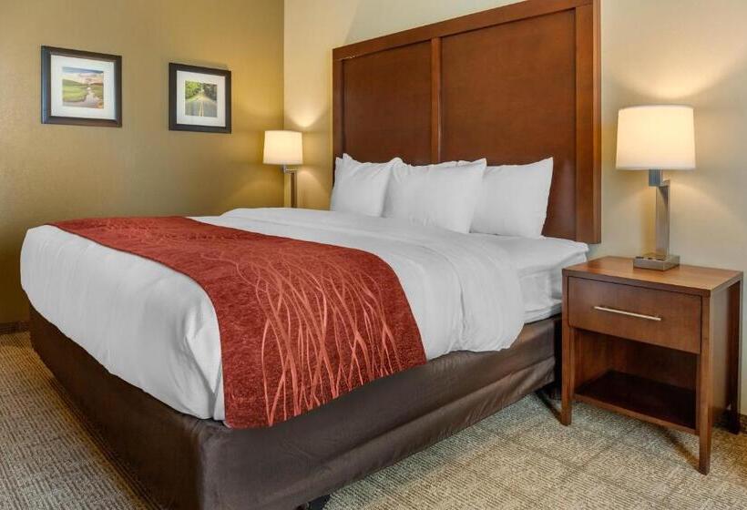 Стандартный Номер Кровать Кинг, Comfort Inn & Suites Amish Country