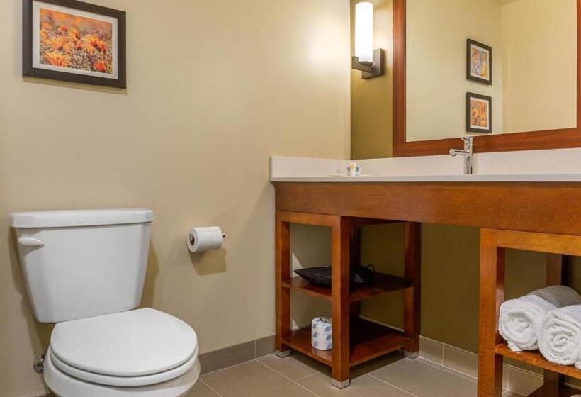 Номер Стандарт, Comfort Inn & Suites Amish Country