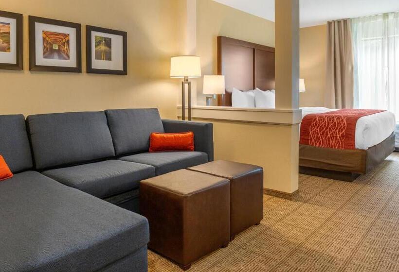 Люкс Кровать Кинг, Comfort Inn & Suites Amish Country