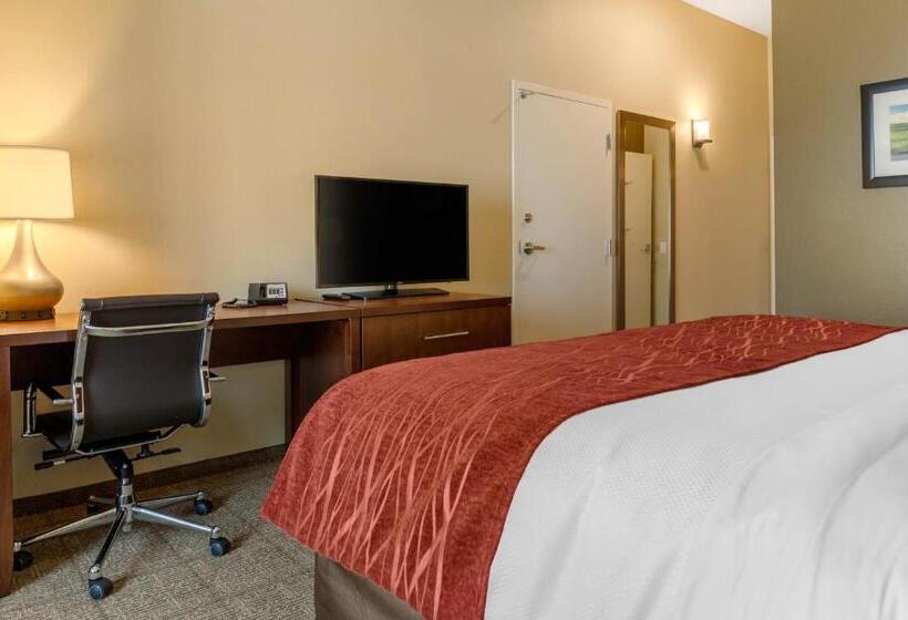 Номер Стандарт Кровать Кинг Адаптированный для Инвалидов, Comfort Inn & Suites Amish Country