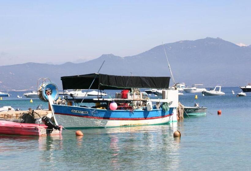 اتاق استاندارد با تراس, Campomoro