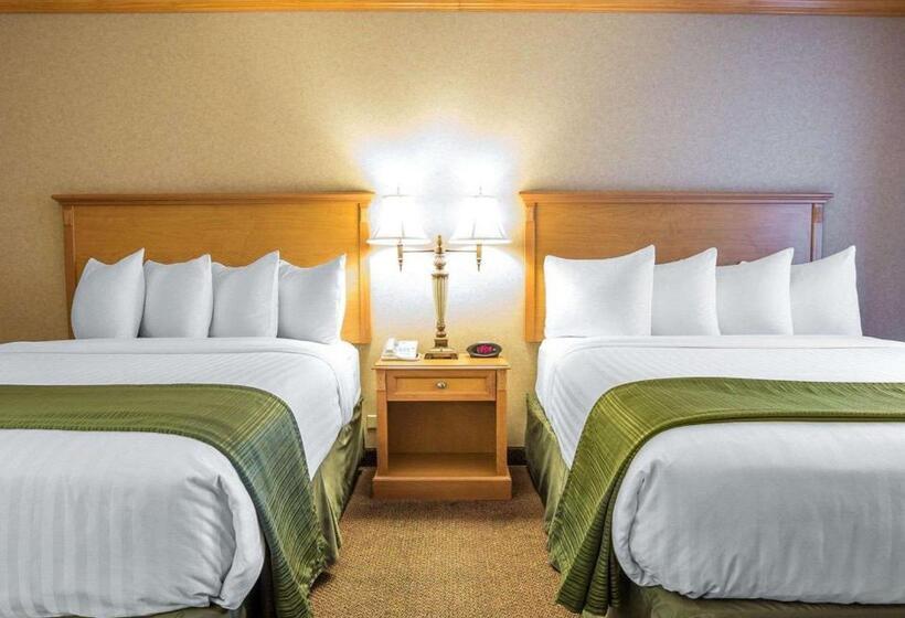 Номер Стандарт 2 Двуспальные Кровати, Quality Inn & Suites Casper Near Event Center