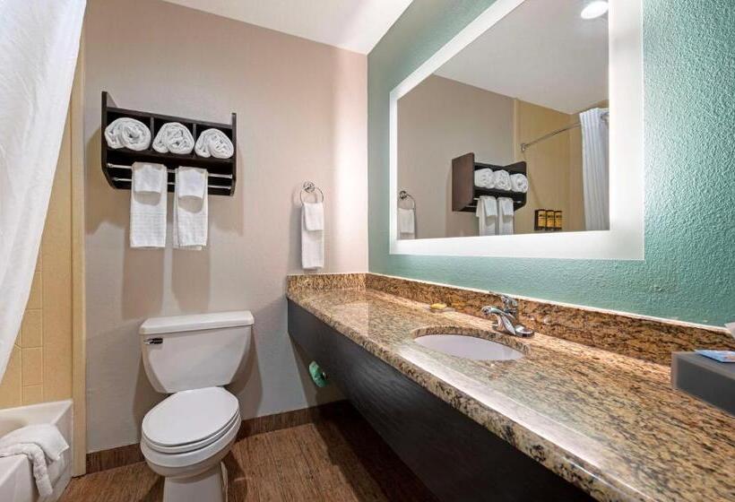 キングサイズベッドのスタンダードルーム, Best Western Plus Greenwood Indy South Inn