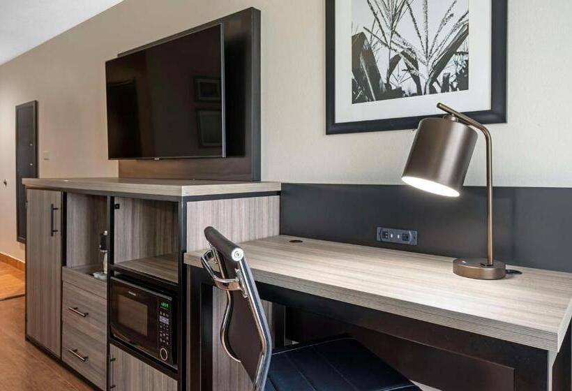 キングサイズベッドのスタンダードルーム, Best Western Plus Greenwood Indy South Inn