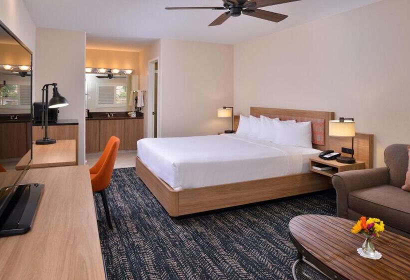 Стандартный Номер Кровать Кинг, La Fuente Inn & Suites