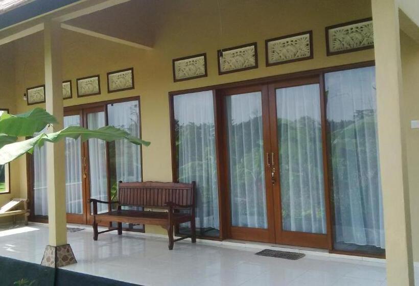 Quarto Estandar com Terraço, Sunari Guesthouse
