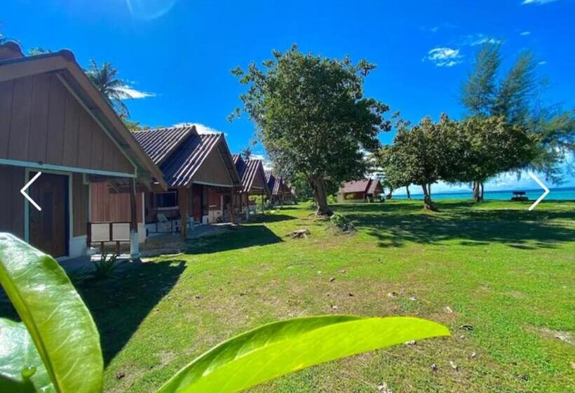 بنجلو قياسى, Koh Ngai Seafood