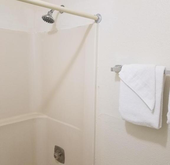 חדר סטנדרט יחיד, Masters Inn Columbia I 26