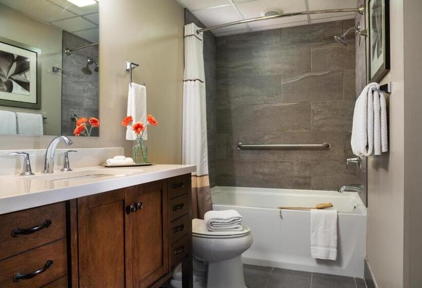 스위트, Meadowbrook Inn