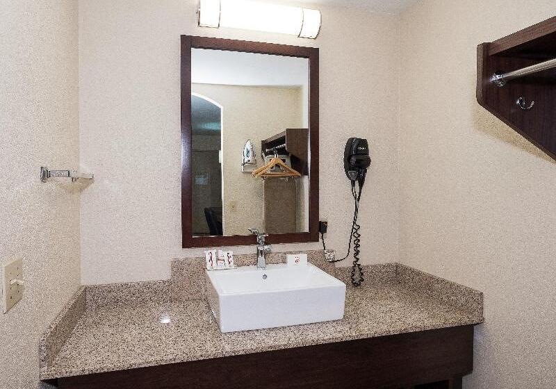 اتاق سوپریور با تخت بزرگ, Red Roof Inn Lancaster