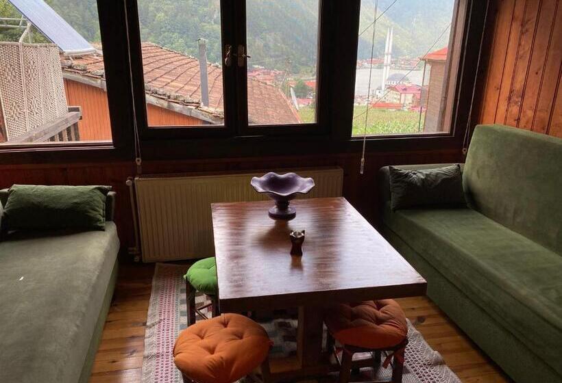 اتاق خانوادگی, Wooden Ochena In Uzungöl
