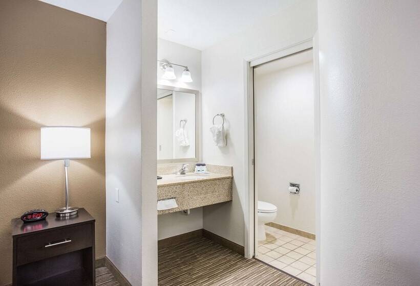 Номер Стандарт 2 Двуспальные Кровати, Quality Inn & Suites Meridian   West Boise