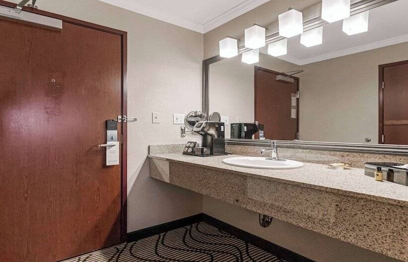 Люкс, Best Western Plus Orchid Hotel & Suites
