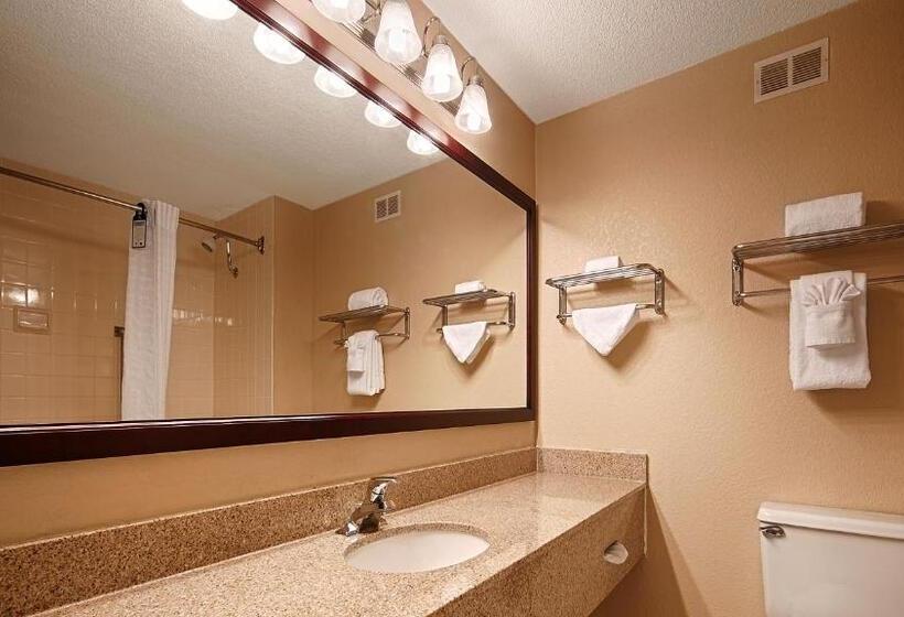 Стандартный Номер Кровать Кинг, Best Western Plus Orchid Hotel & Suites