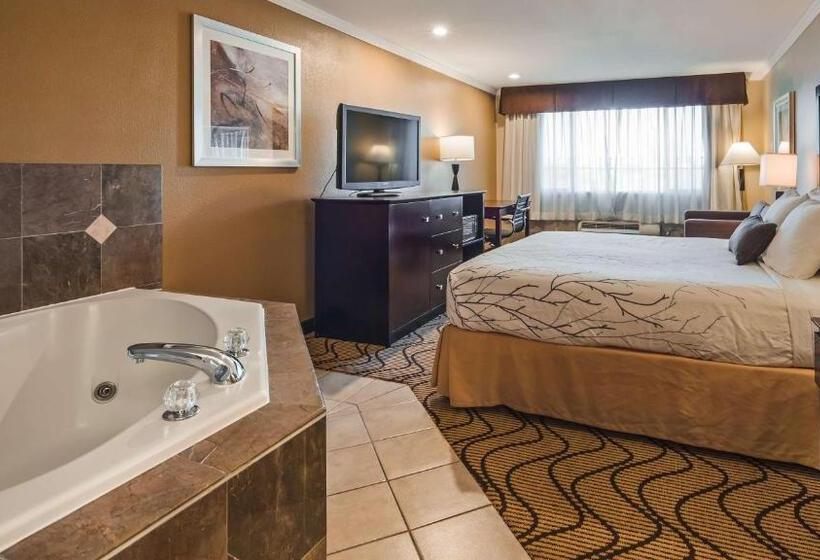Стандартный Номер Кровать Кинг, Best Western Plus Orchid Hotel & Suites