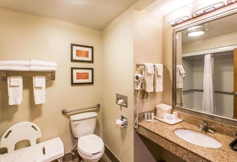 Номер Стандарт Кровать Кинг Адаптированный для Инвалидов, Comfort Inn & Suites Cookeville